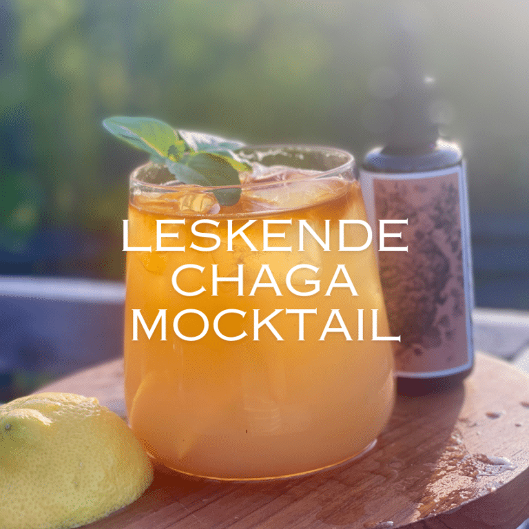 leskende mocktail med chaga