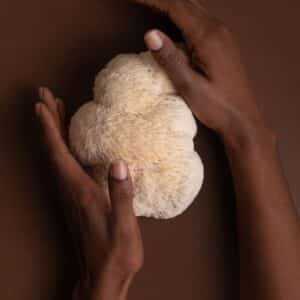 Lions Mane og kvinnehelse