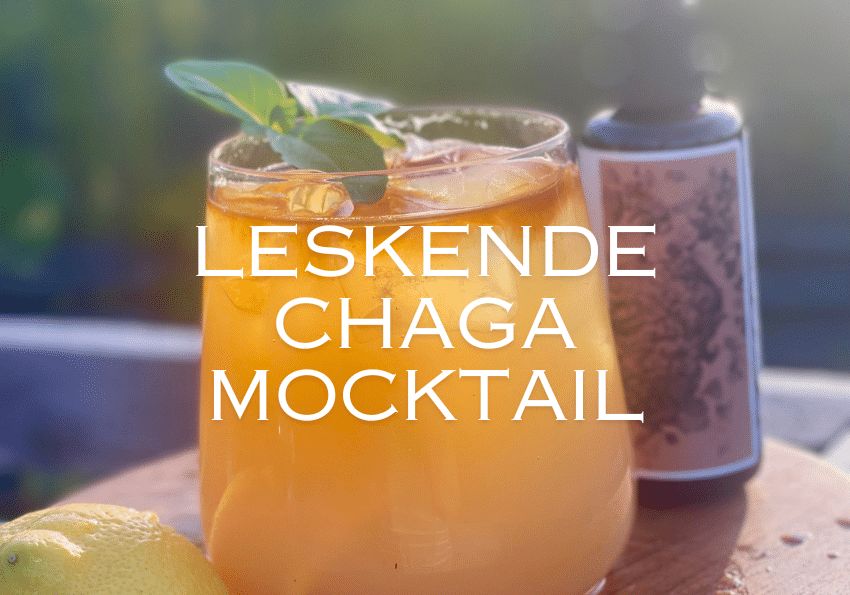 leskende mocktail med chaga leskende mocktail med chaga