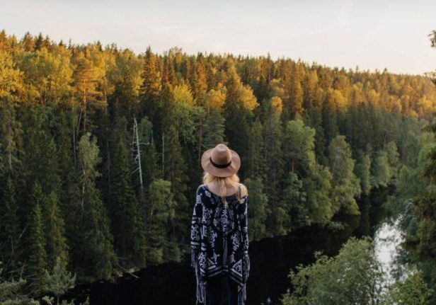 finsk skog Mushroom Extract from Finland